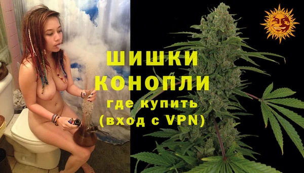 ГАЛЛЮЦИНОГЕННЫЕ ГРИБЫ Верея