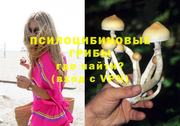 прущие грибы Домодедово
