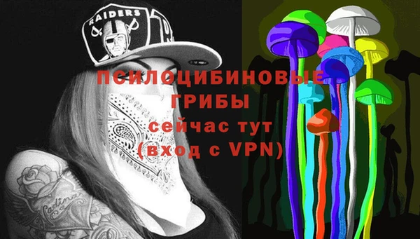 ГАЛЛЮЦИНОГЕННЫЕ ГРИБЫ Верея