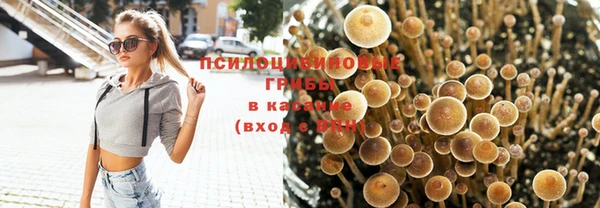 ГАЛЛЮЦИНОГЕННЫЕ ГРИБЫ Верея