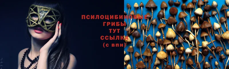 Галлюциногенные грибы Cubensis  Верхняя Пышма 