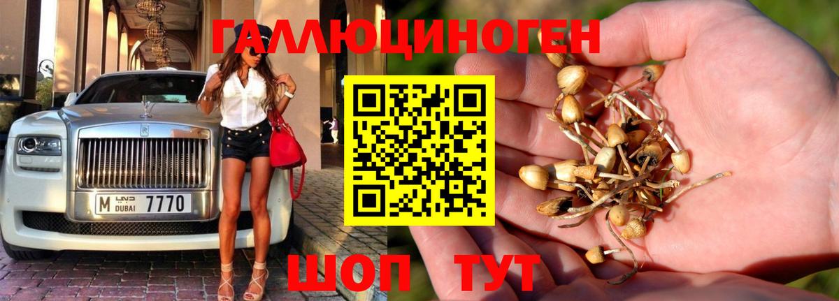 Галлюциногенные грибы ЛСД  Верхняя Пышма  Псилоцибиновые грибы ЛСД 