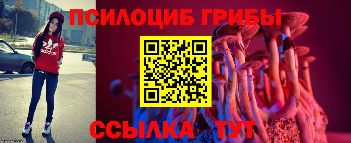 Псилоцибиновые грибы Cubensis Верхняя Пышма